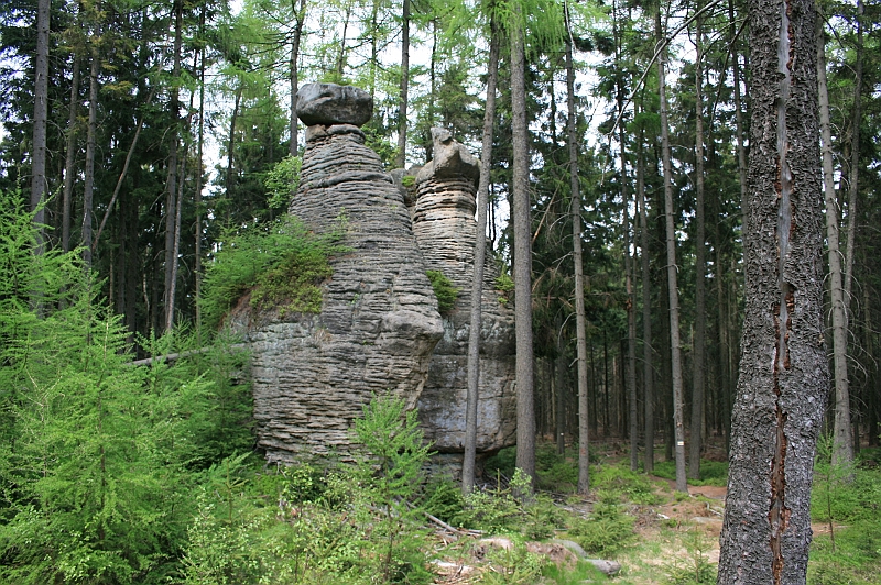 Original image